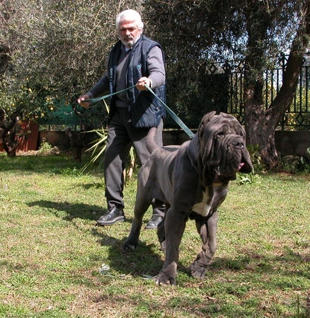 normal_nemo del castellaccio con giuseppe la parola