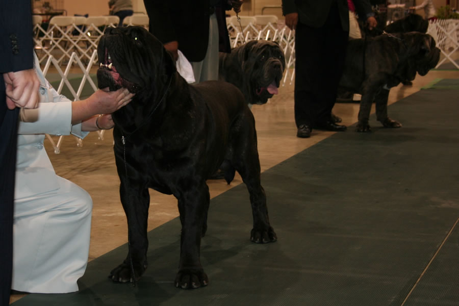 2010-Nationals-13