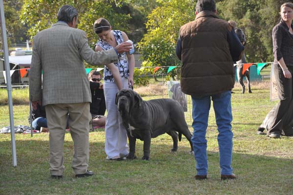 dolce judge DSC_0300