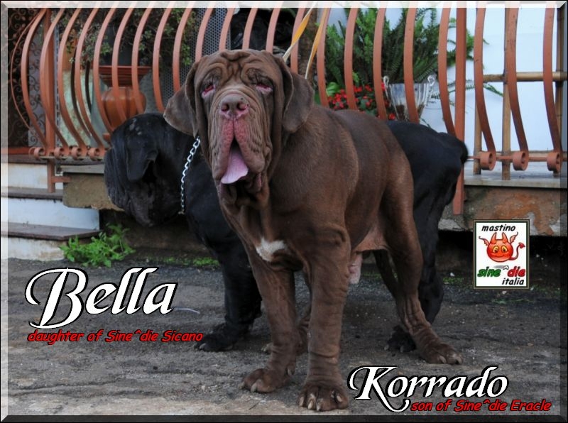 Korrado,,, Bella,,, 17 september 2009