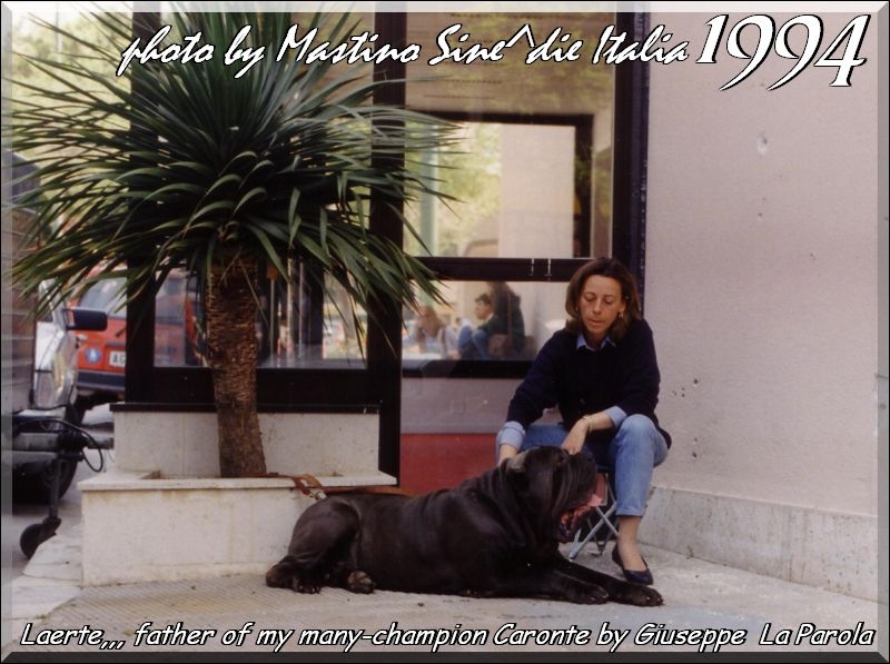 1994 Laerte fhater of champion Caronte