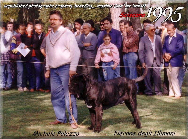 1995 Scisciano Michele Palazzo con Nerone degli Illimani,