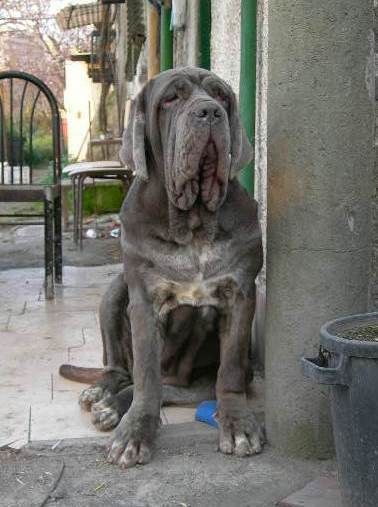 Immagine SARA 10 mounths