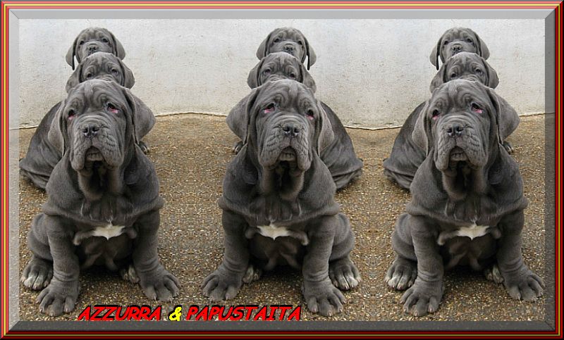 AZZURRA & PAPUSTAITA