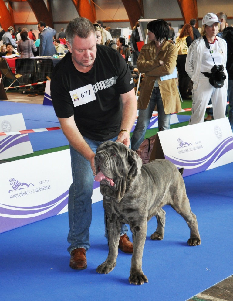 Copy of European Show 09-2010 487