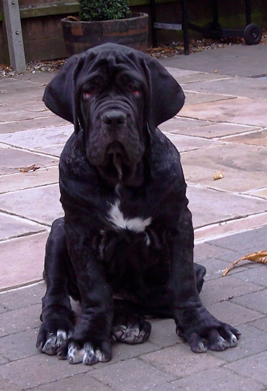 Copy of 13 08 2007 057