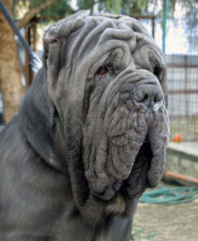 DSCN00391