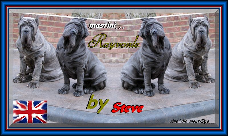 mastini,,, by Steve