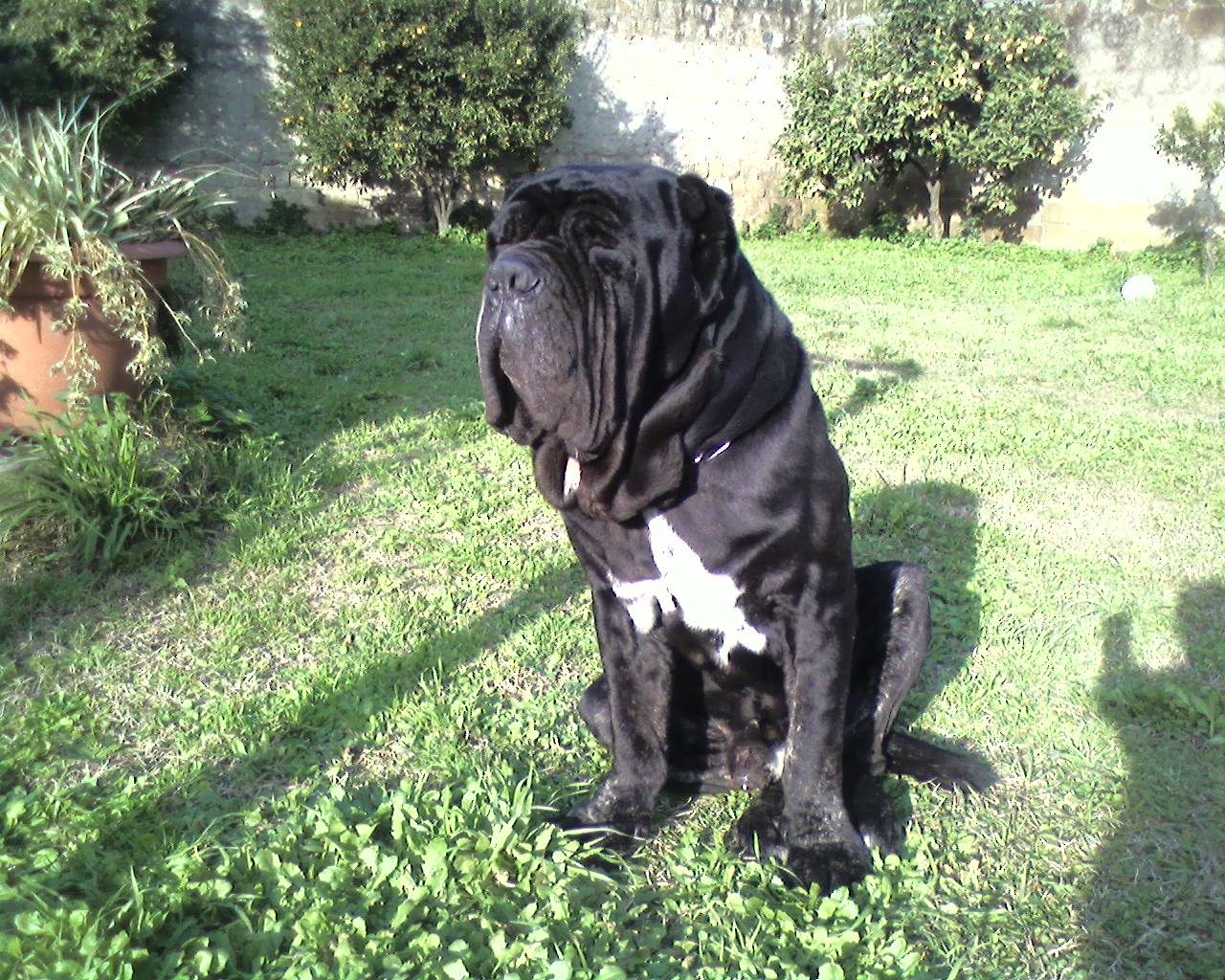 Photo040