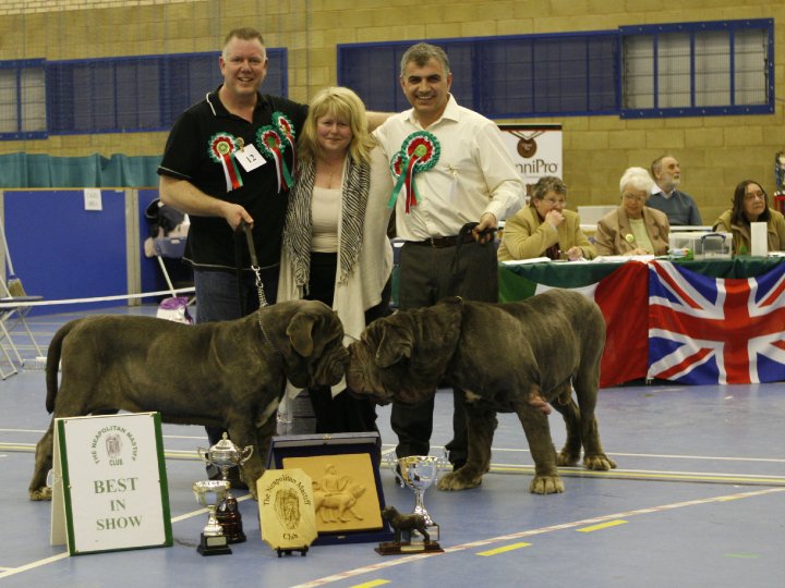Club Show 2010