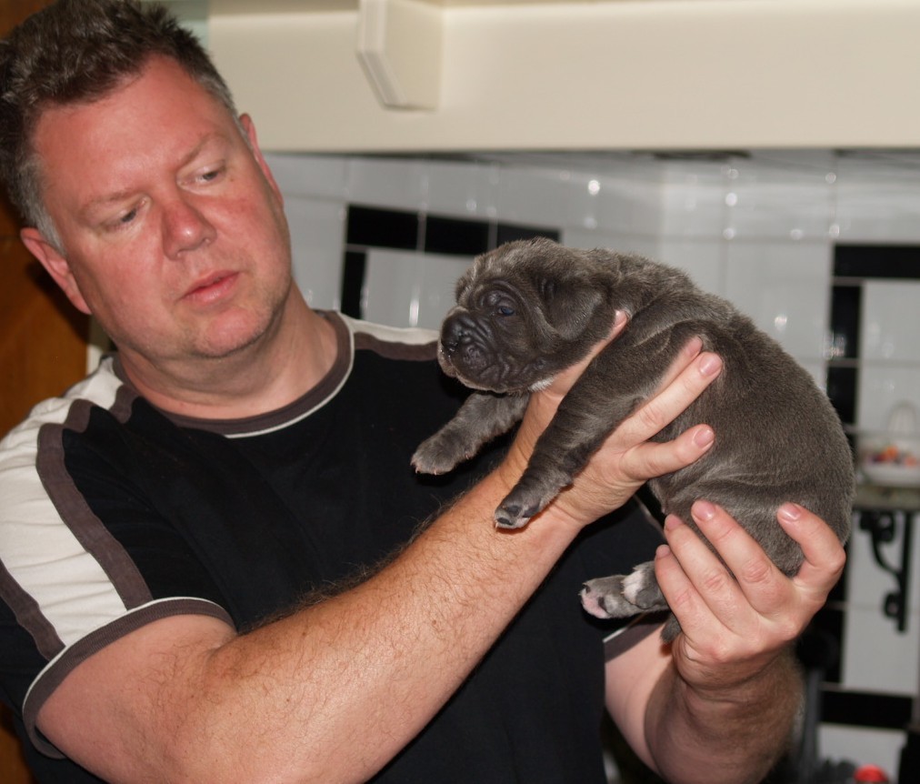 Lunas pups 5 5 2007 040