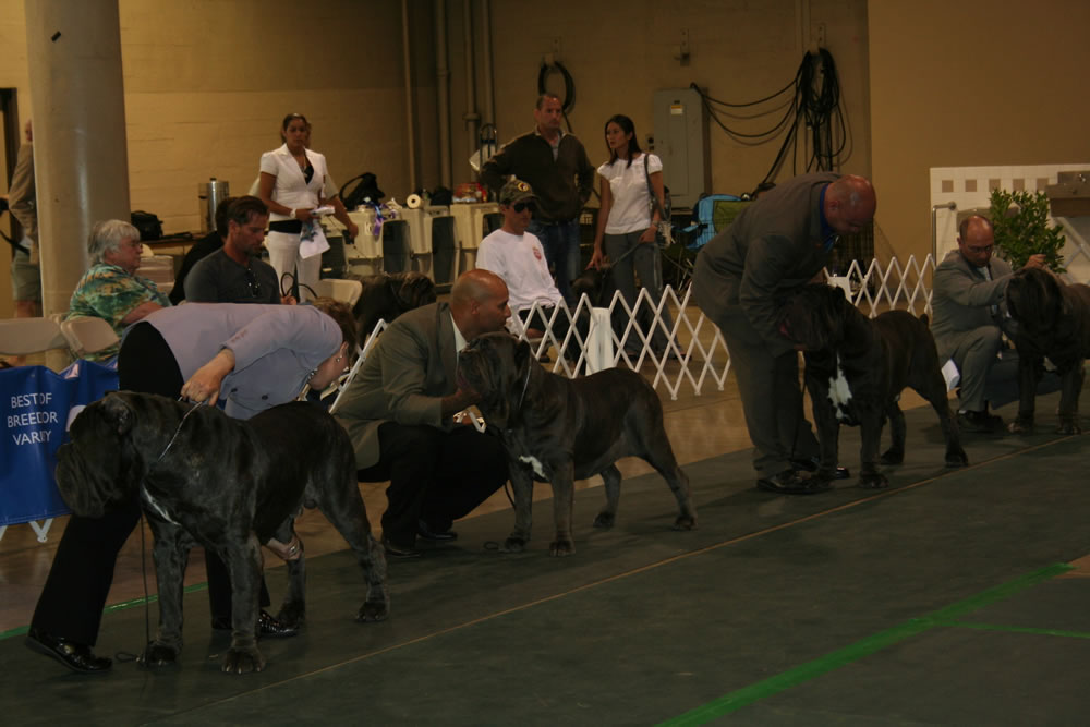 2010-Nationals-48