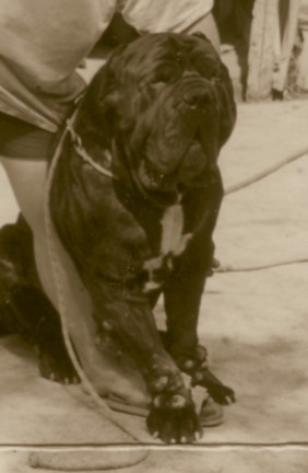 Nerone