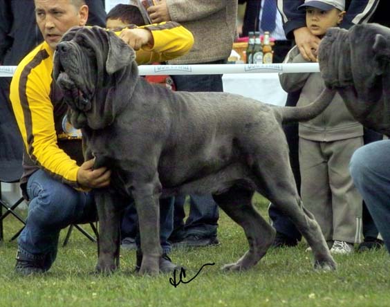 IMG04791