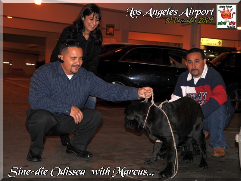 Los Angeles 10 December 2009,,,