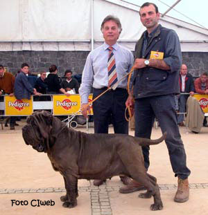 perla-filippo