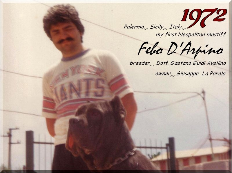 1972 Giuseppe La Parola with Febo D'Arpino