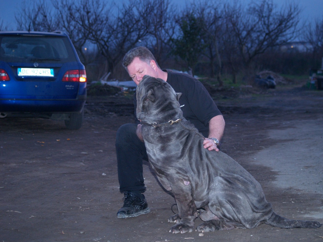 Falcone 18 01 2007