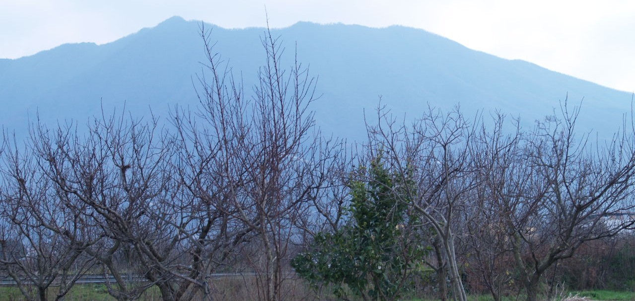 View from Vincenzo Manna back garden.. Mount vesuvius