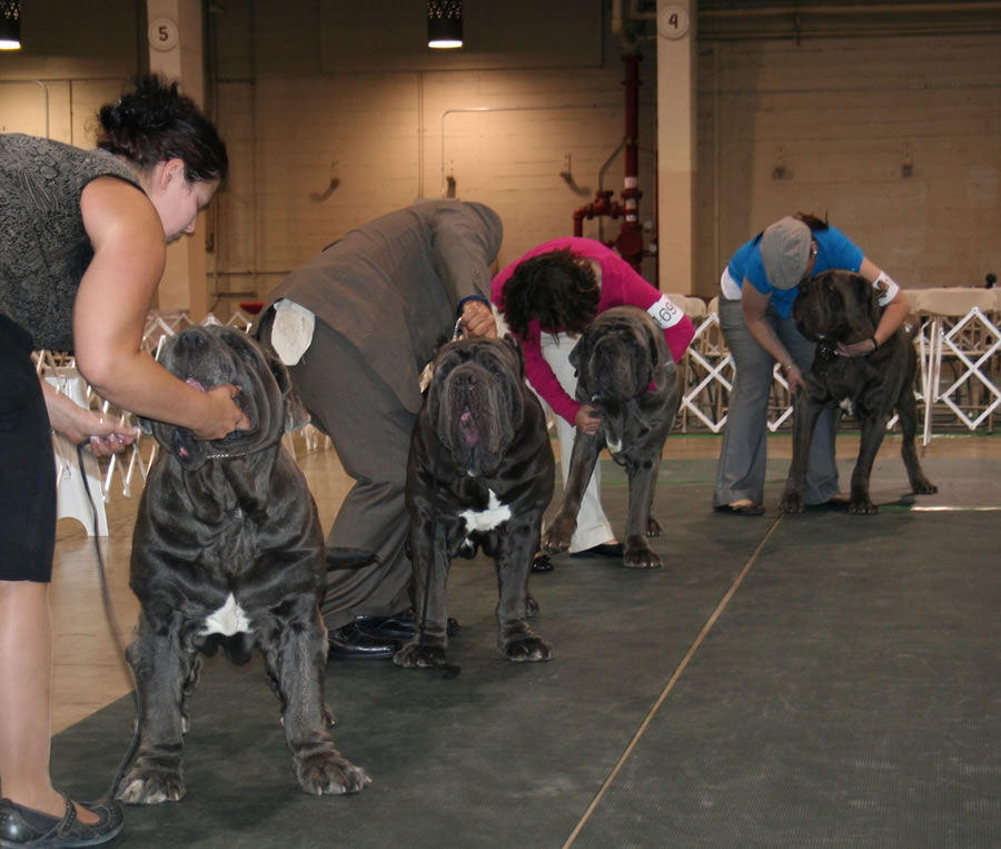 2010-Nationals-27