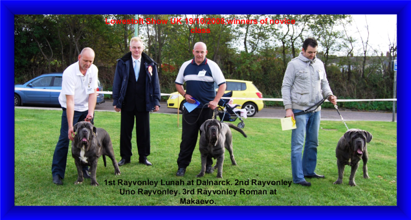 Copy of Rayvonley Novice Class