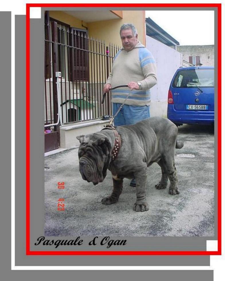 Pasquale &  ogan- montage