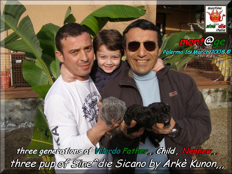 Pup of Sine^die Sicano breeder Arke Kunon,,,