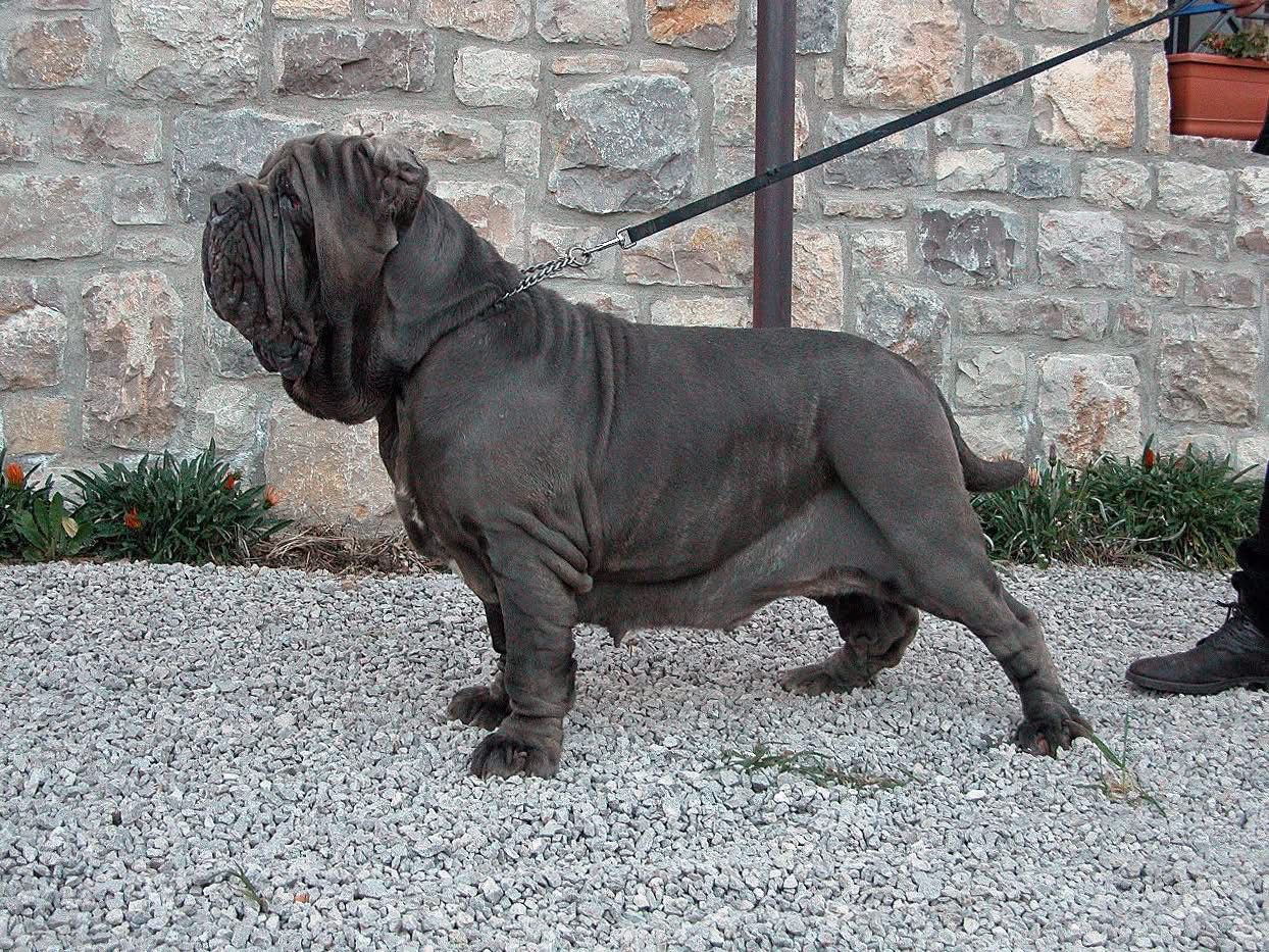 Perla Dello Stradone Vesuviano