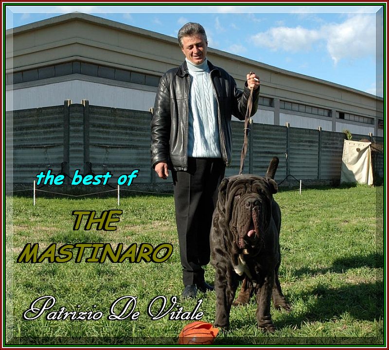 Patrizio De Vitale ooo