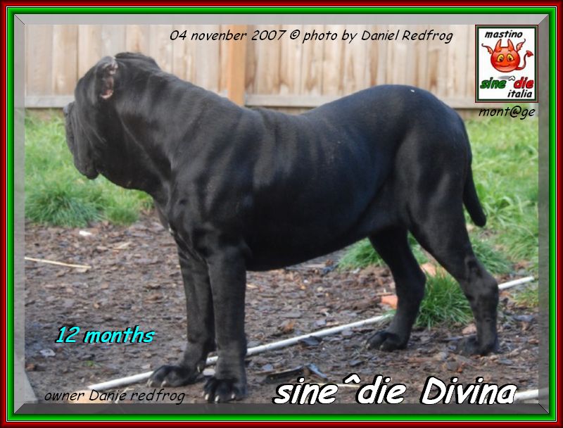 sine^die Divina buon compleanno xox
