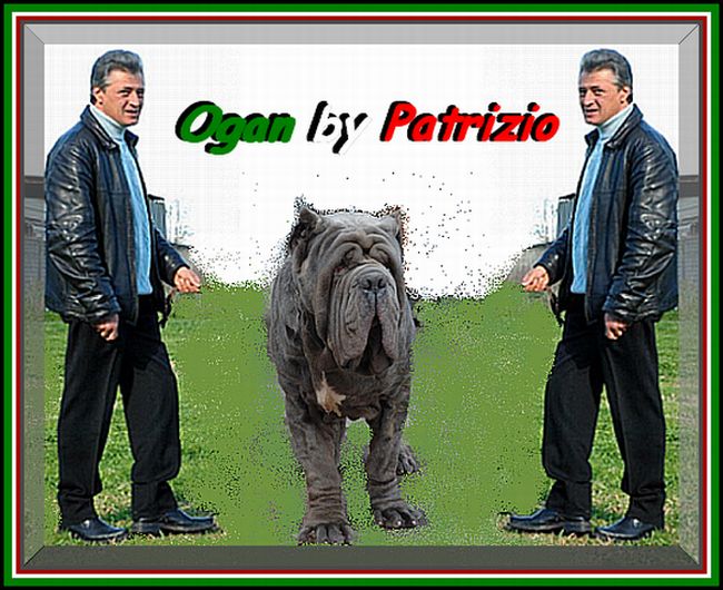 Ogan by Patrizio De Vitale. bis montage mastino sine^die italia