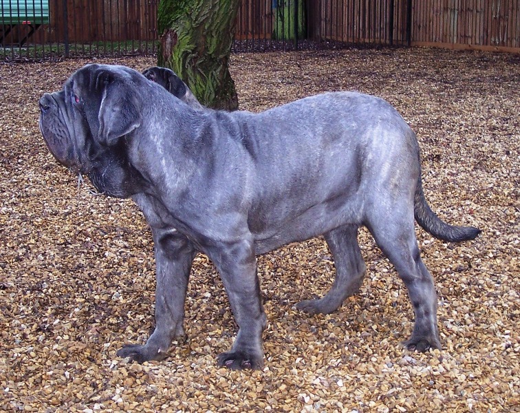 Copy of 27 12 2007 064
