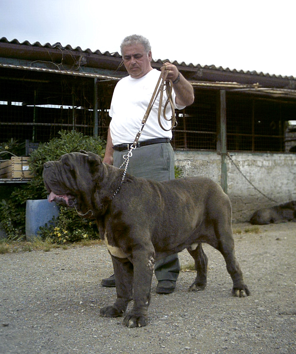 ulises