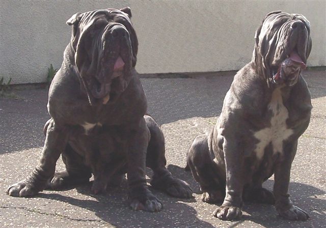 Veleno & Nina