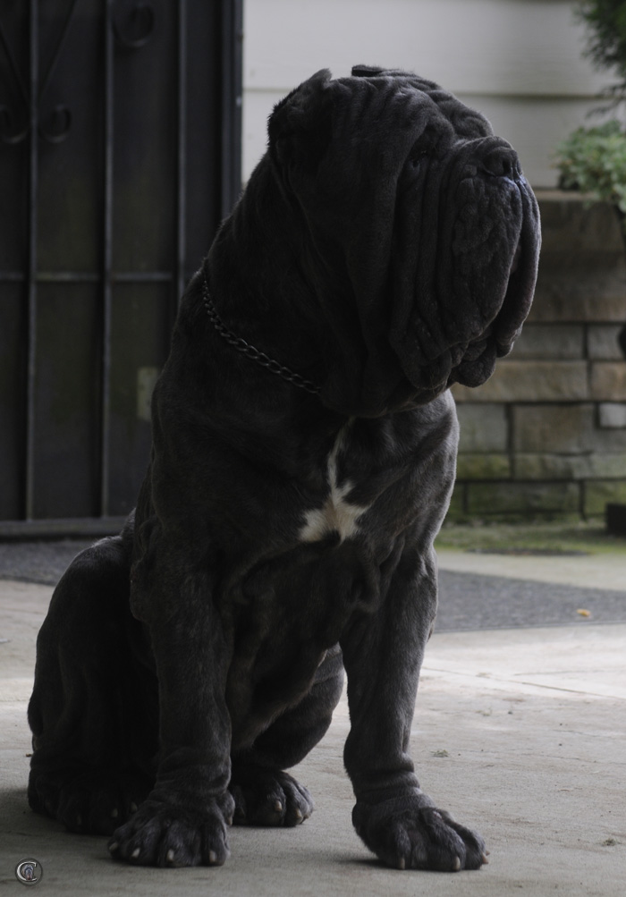 Filippo2