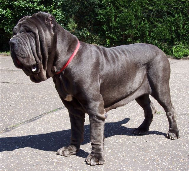 DONA CHI 02 07 2006