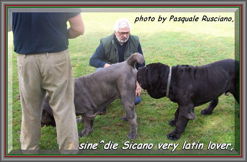 Sicano sine^die,,, napoli 24 aprile 2007,,,
