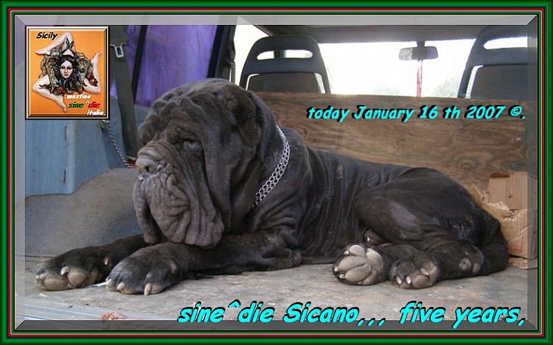 sine^die Sicano ,,, January 16 th 2007