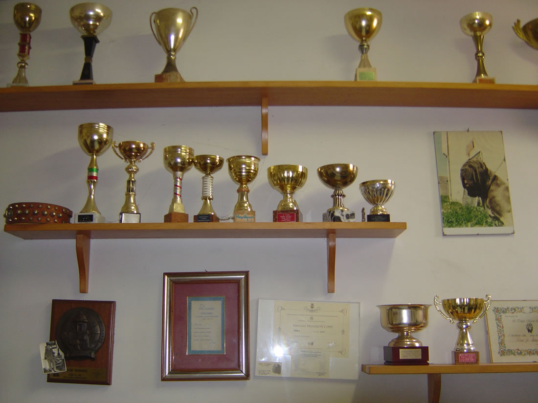 trophy3