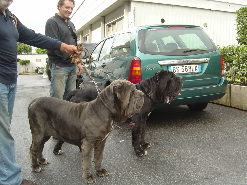 sephoraandtore