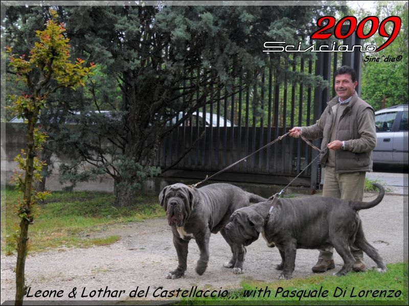 Scisciano 2009 ,
