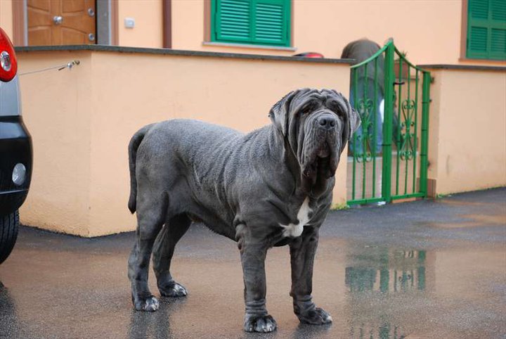 75159_1474851675945_1373281178_31114681_7336508_n