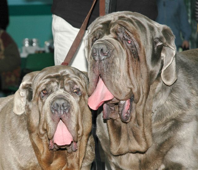 Daisy & her son Leo