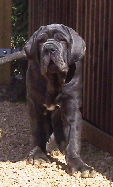 Copy of 12 08 2007 070