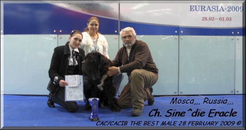 Mosca Ch. Sine^die Eracle. CAC CACIB 28 February 2009,,
