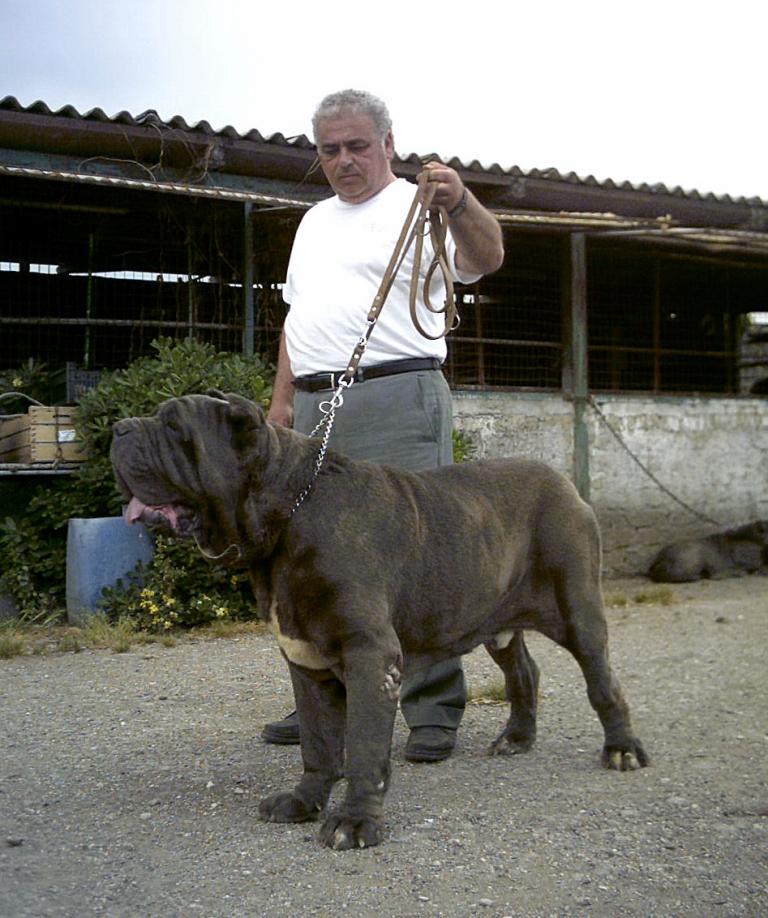 ulises0001