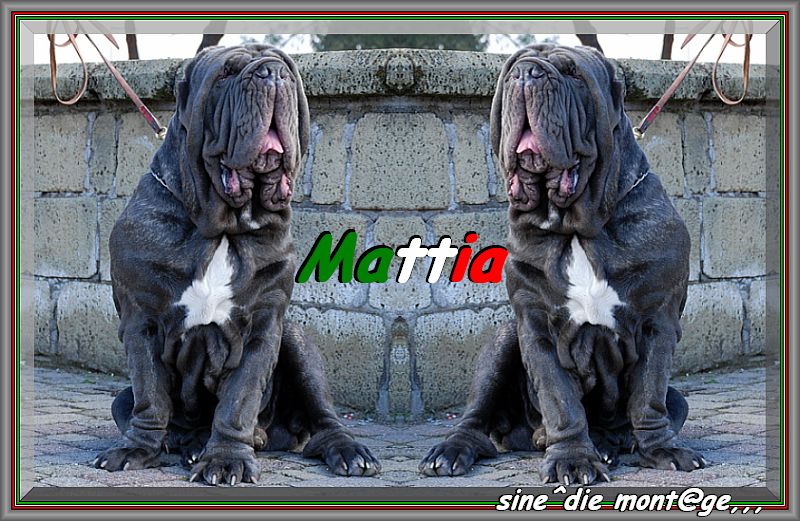 Mattia