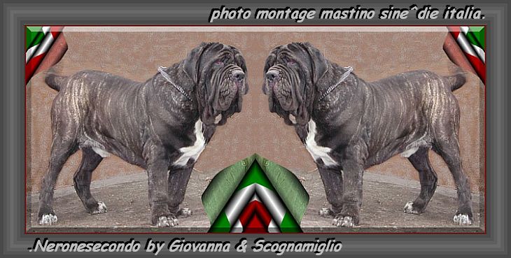 Neronesecondo by Giovanna & Scognomiglio 730 doppio
