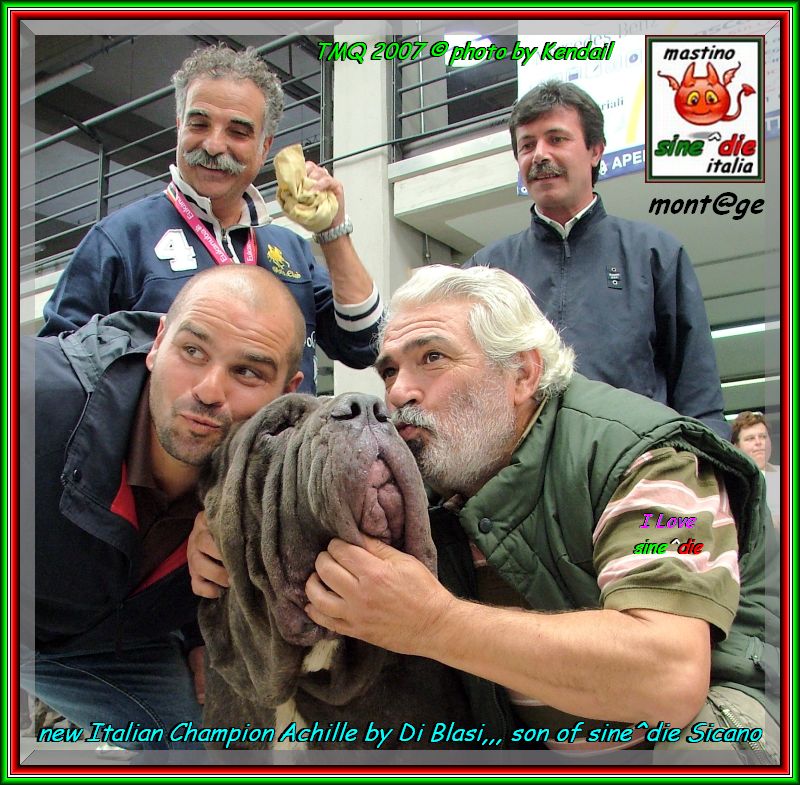 TMQ 2007,,, photo by Kendail It. Ch. Achille by Di Blasi son of sine^die Sicano,,, 2460