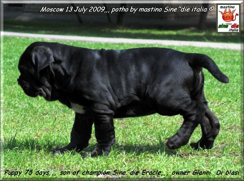 Moscow 13 July 2009,,,